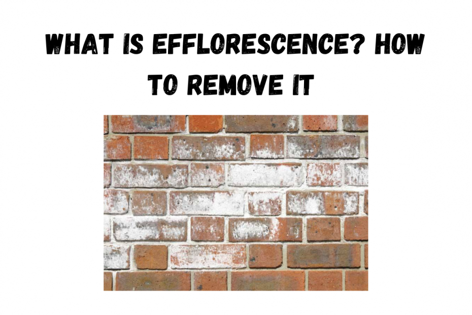 Efflorescence how to remove